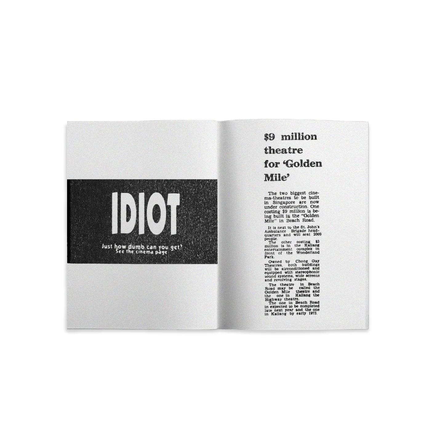 SHRUB - TFI - GMT Zine