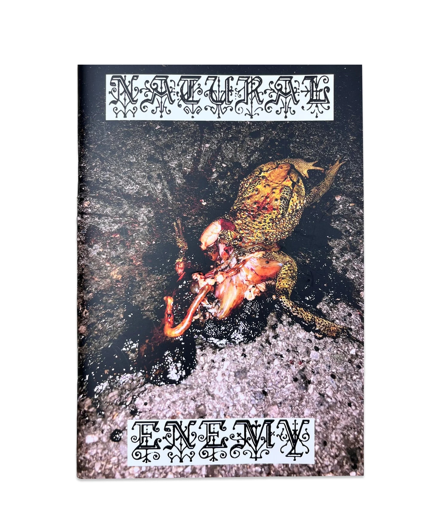NATURAL ENEMY ZINE - DUKEDUMB