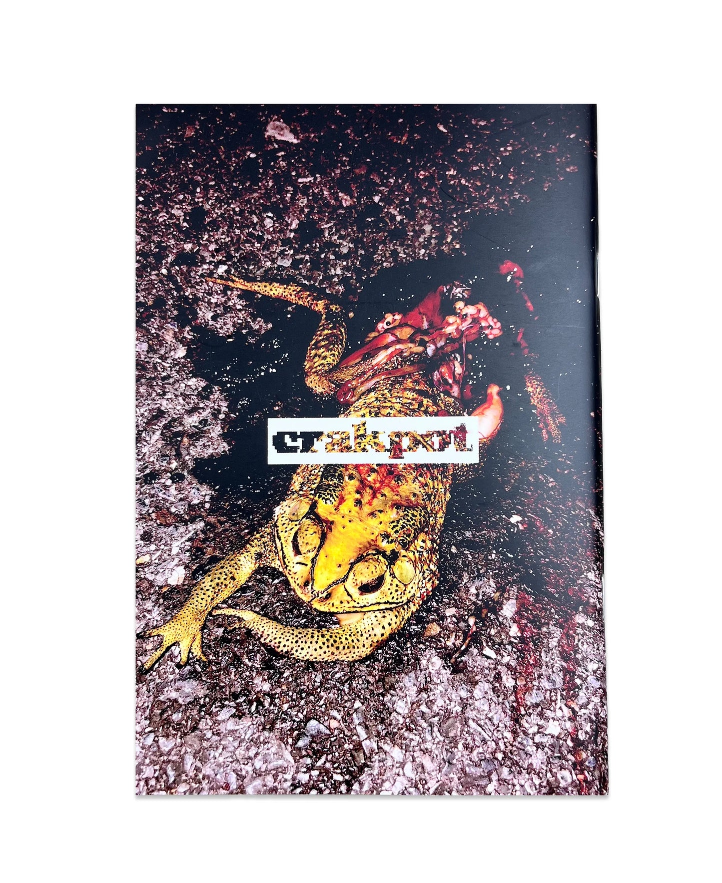 NATURAL ENEMY ZINE - DUKEDUMB