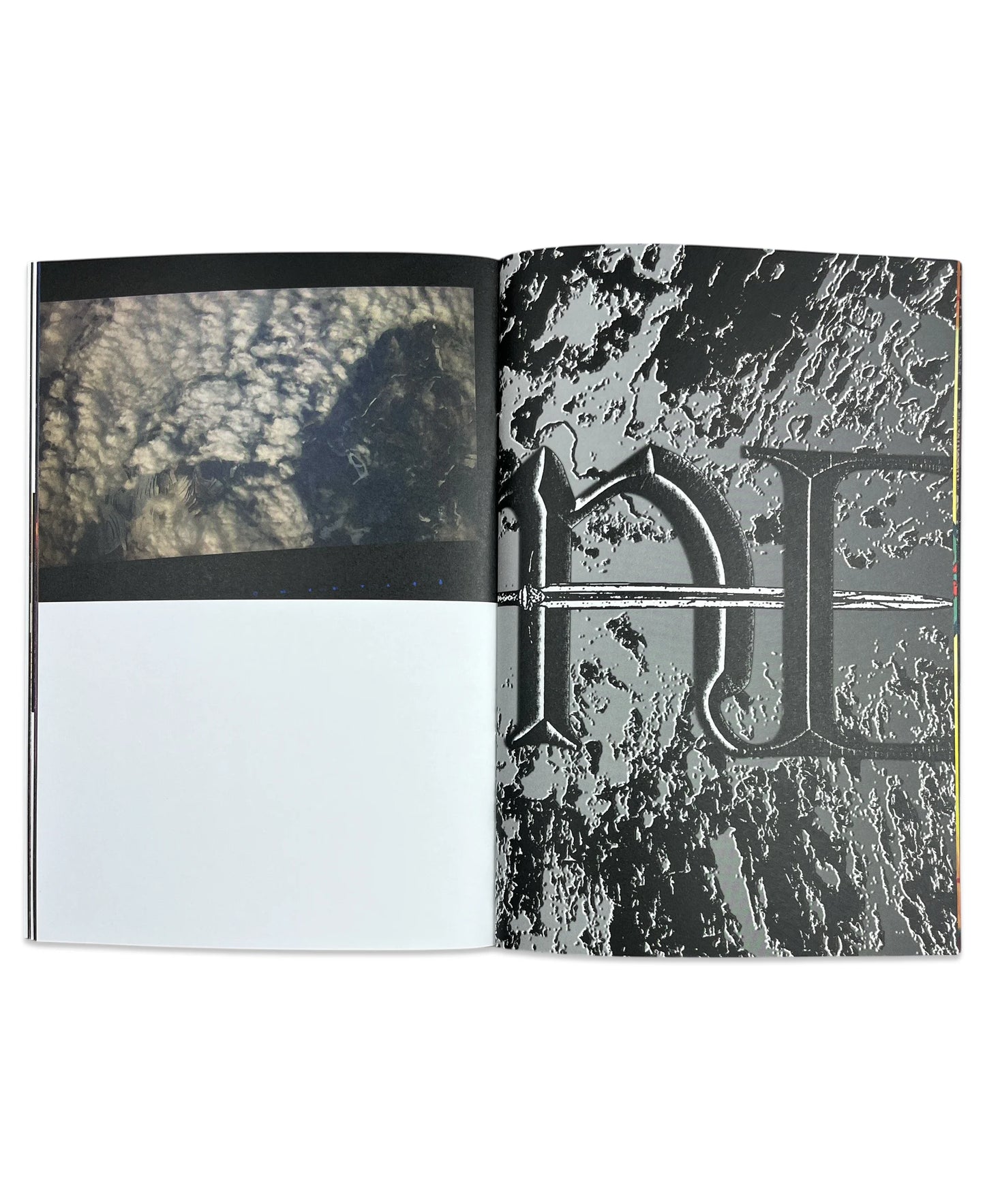 NATURAL ENEMY ZINE - DUKEDUMB